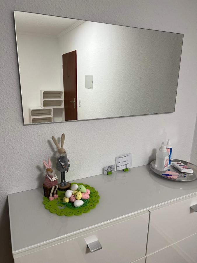 O&V Apartment Waldshut-Tiengen Kültér fotó